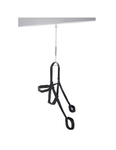 Fetish fantasy series - columpio erÓtico fantasy swing negro