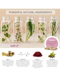 Feminil + – complemento alimenticio para la libido femenina 2