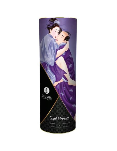 Shunga - kit colecciÓn placeres carnales