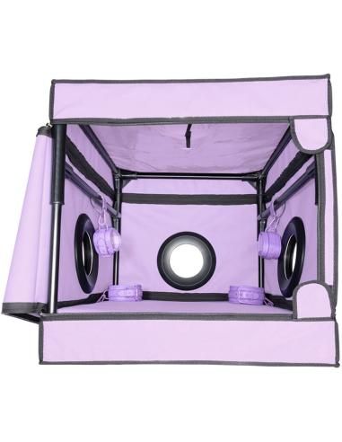 Secret dome - kink club la niche cabina morado
