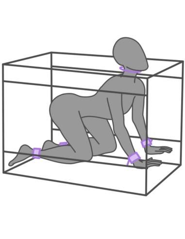 Secret dome - kink club la niche cabina morado