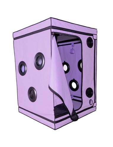 Secret dome - kink club cabina scandale morado