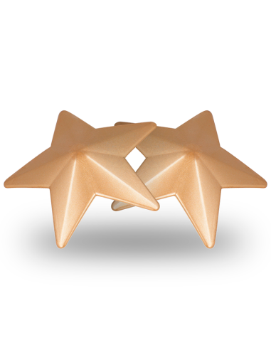 Coquette chic desire - cubre pezones metal estrellas