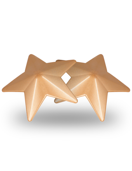 Coquette chic desire - cubre pezones metal estrellas