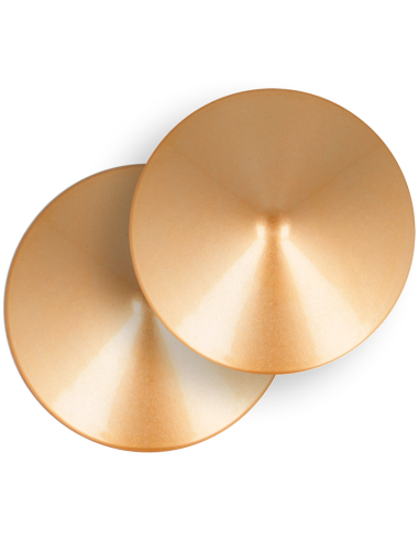 Coquette chic desire - cubre pezones metal circulos dorados