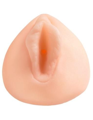 Extreme toyz - sorority snatch